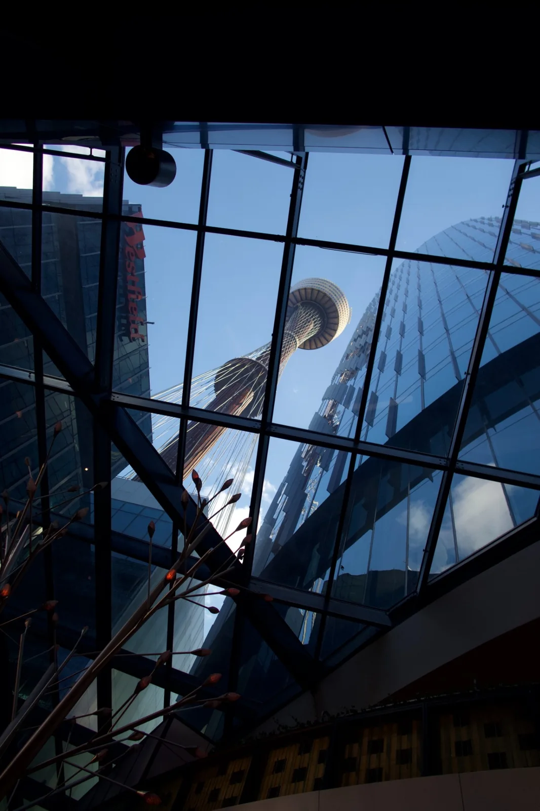 Sydney Tower viewed through a glass canopy in the city